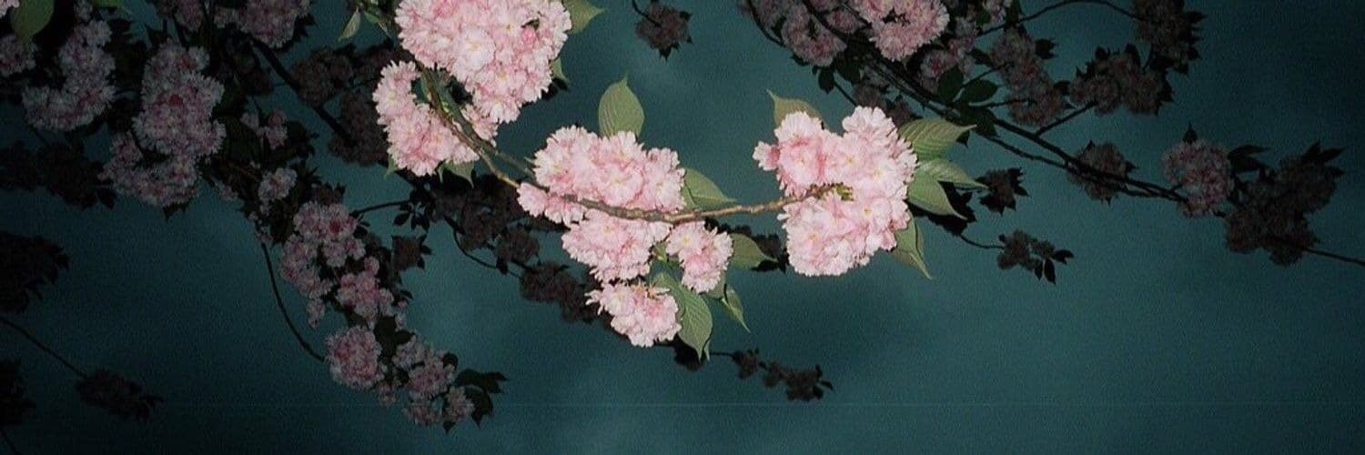 Tatum Christine banner